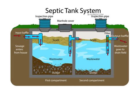 septic tank leaking into yard|What to do if your septic tank is leaking above ground 